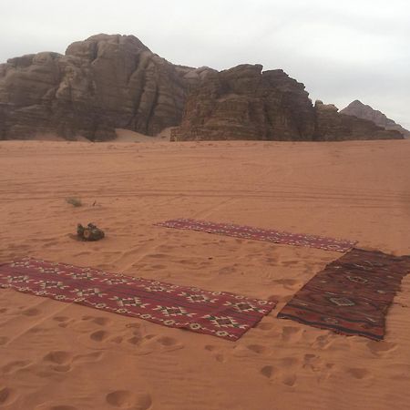 Wild Of Wadi Rum Eksteriør billede