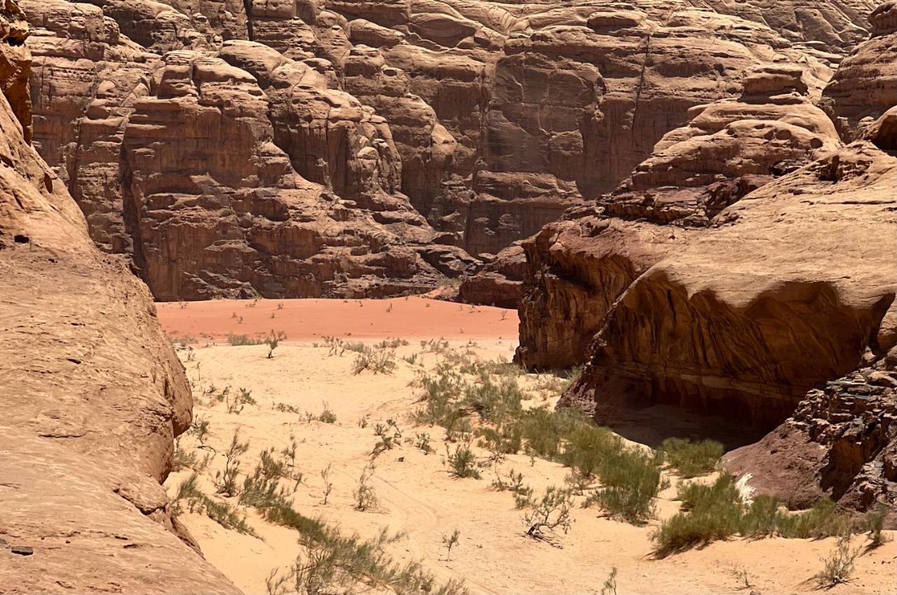 Wild Of Wadi Rum Eksteriør billede