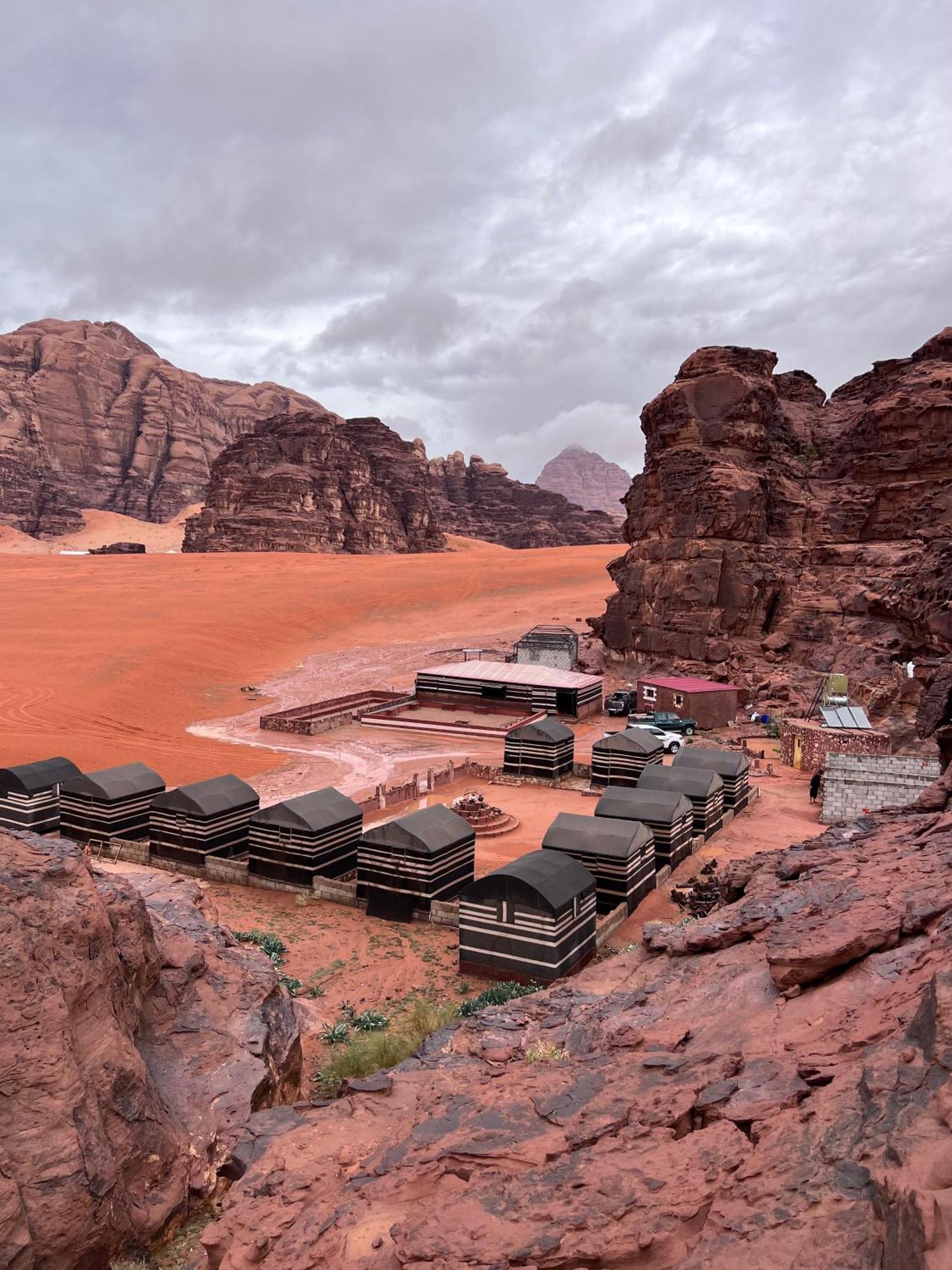 Wild Of Wadi Rum Eksteriør billede
