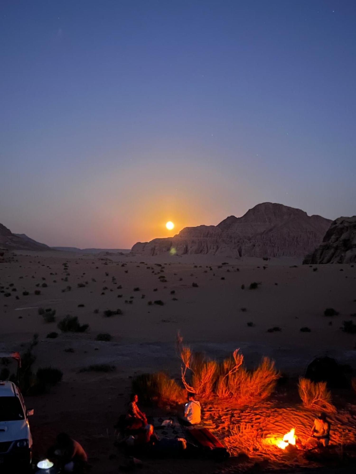 Wild Of Wadi Rum Eksteriør billede