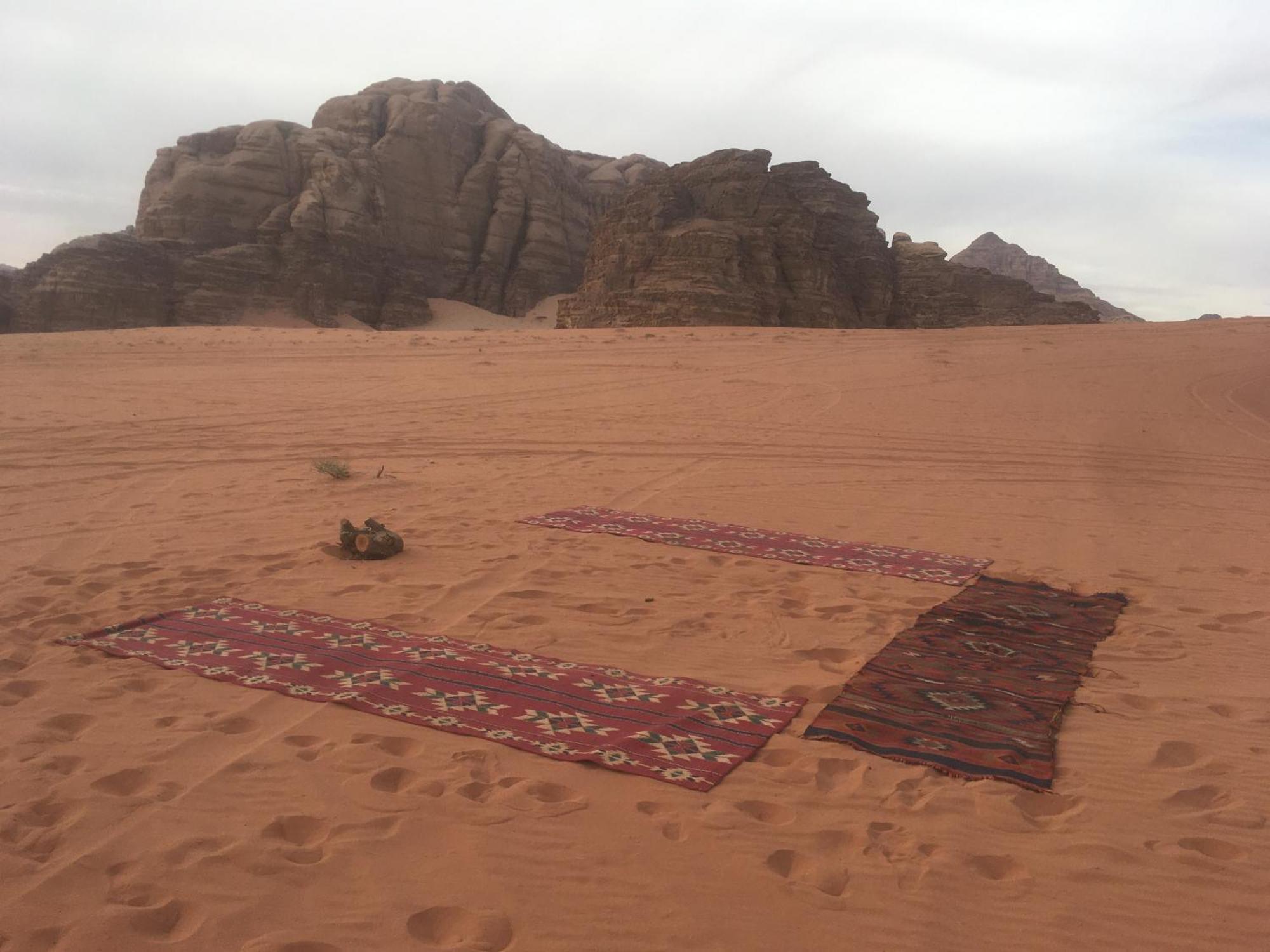 Wild Of Wadi Rum Eksteriør billede