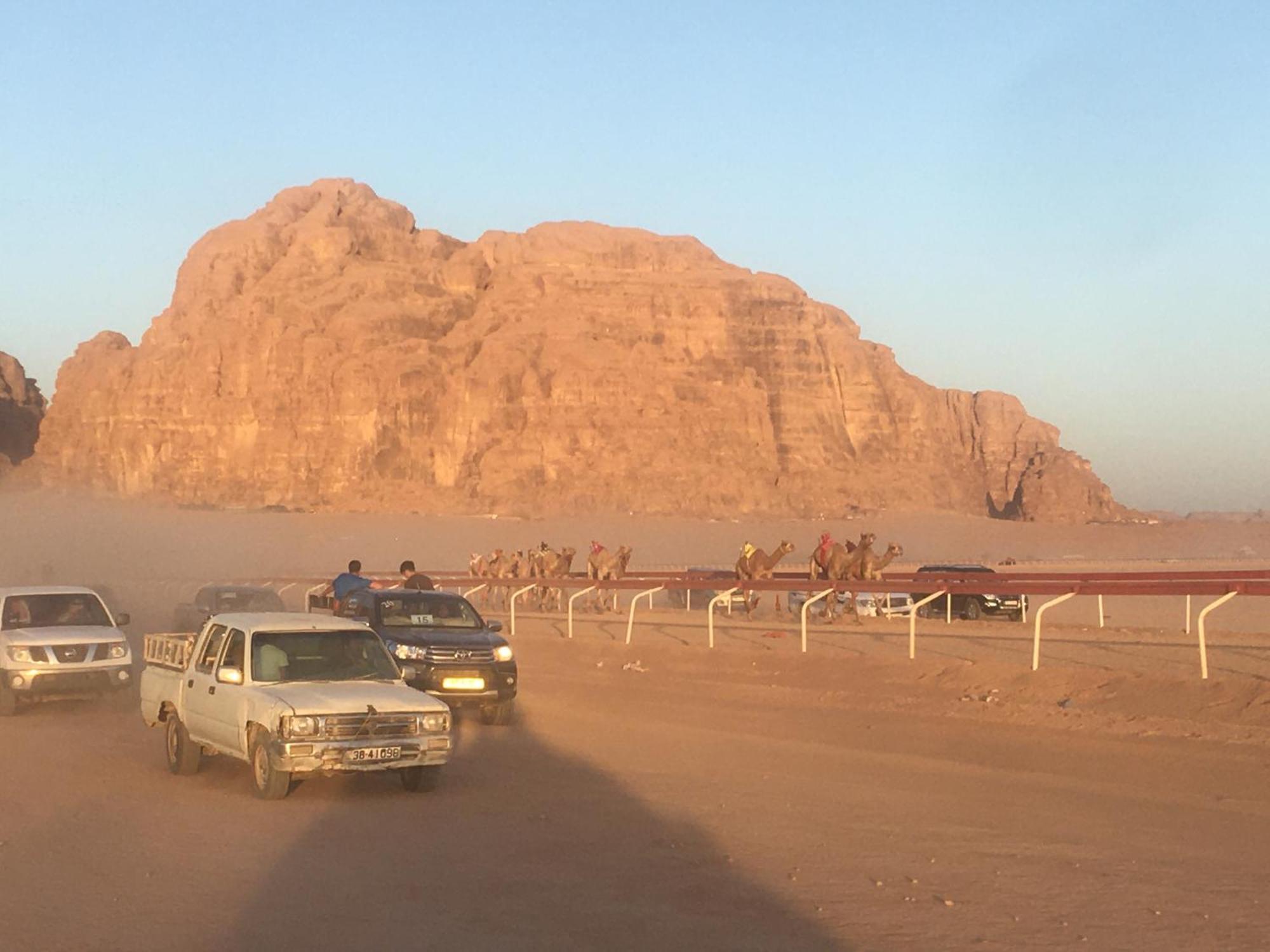 Wild Of Wadi Rum Eksteriør billede
