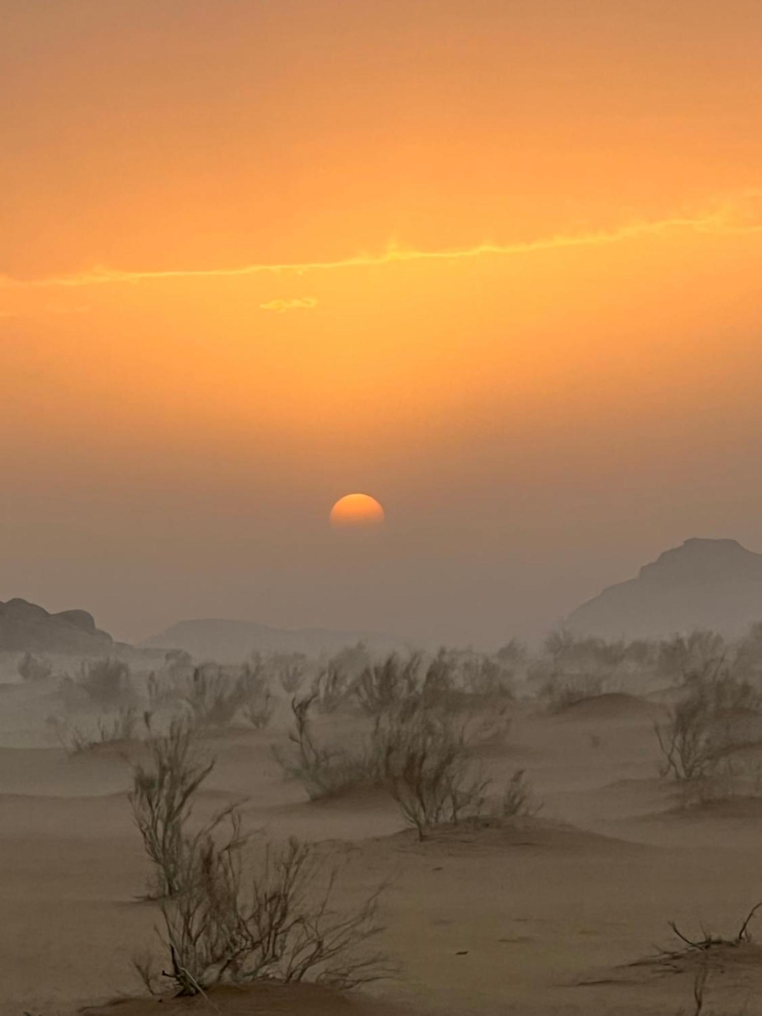 Wild Of Wadi Rum Eksteriør billede