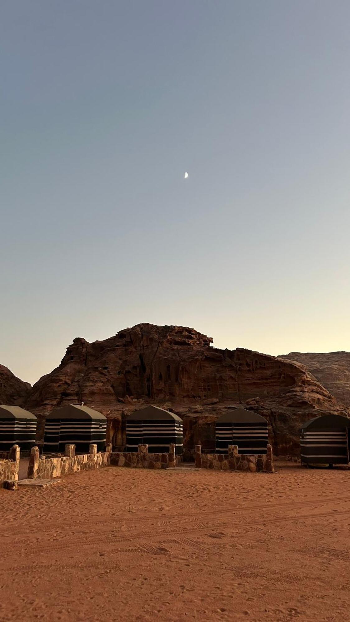 Wild Of Wadi Rum Eksteriør billede